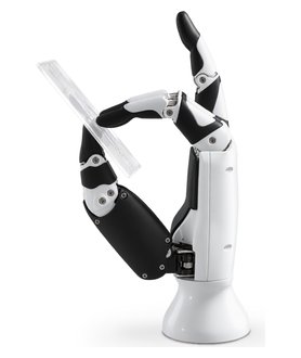 Inspire Robots